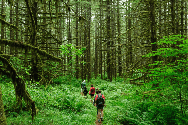 Top 15: iPhone apps for experiencing nature and the great&nbsp;outdoors