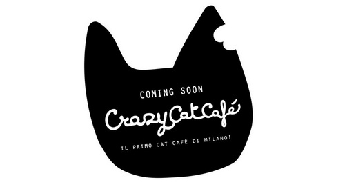 For Pet Lovers: Cat Café’s in&nbsp;Italy