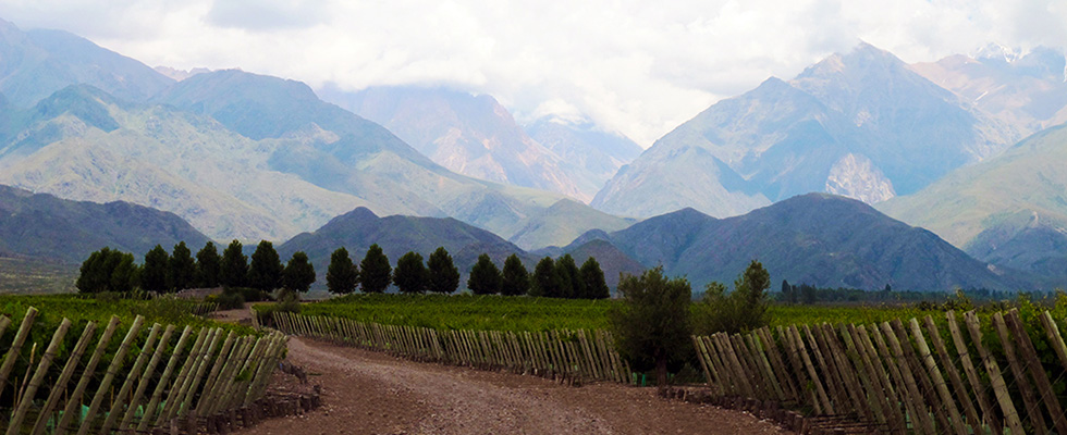 Argentinia’s Casa De Uco Tunuyán Hotel &&nbsp;Winery