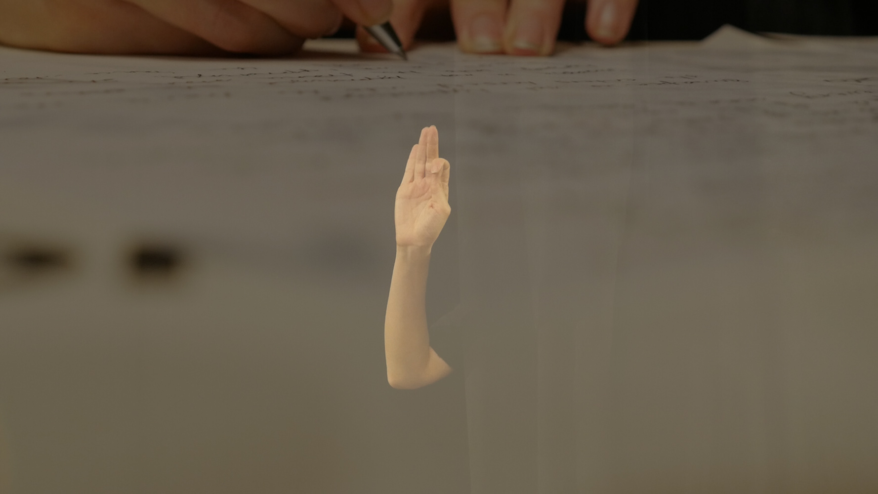 PERFORMANCE ARTIST: Chiara Fumai