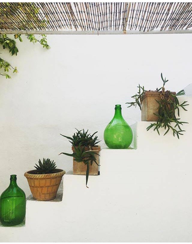 21104442_10210320437502517_1151667748_o