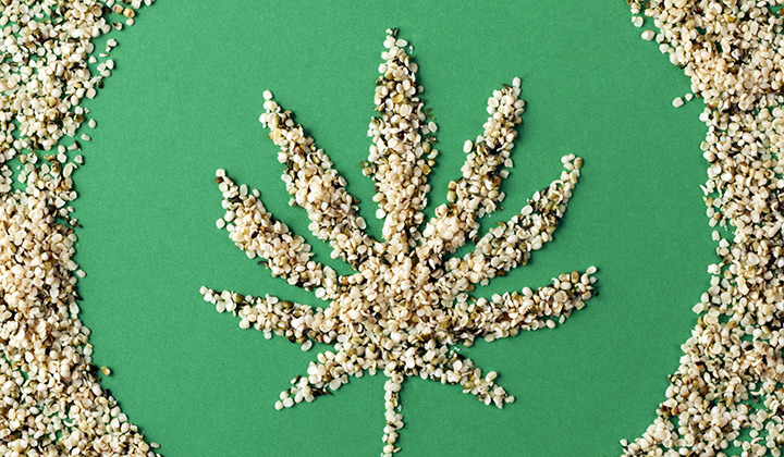 Hemp 101: Hemp Is Good For&nbsp;Everything.