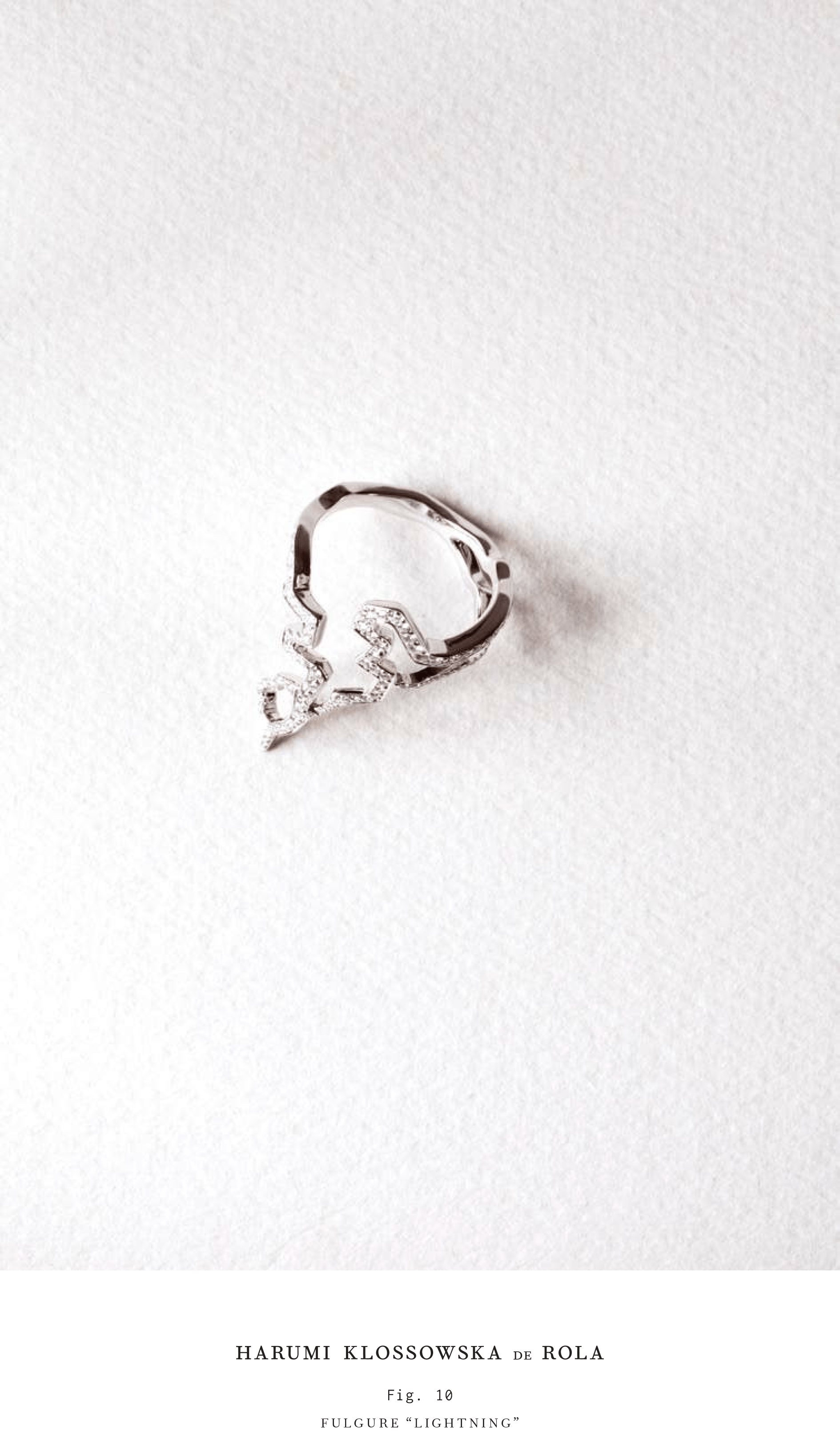 Harumi Klossowska de Rola_Look book_2016-11