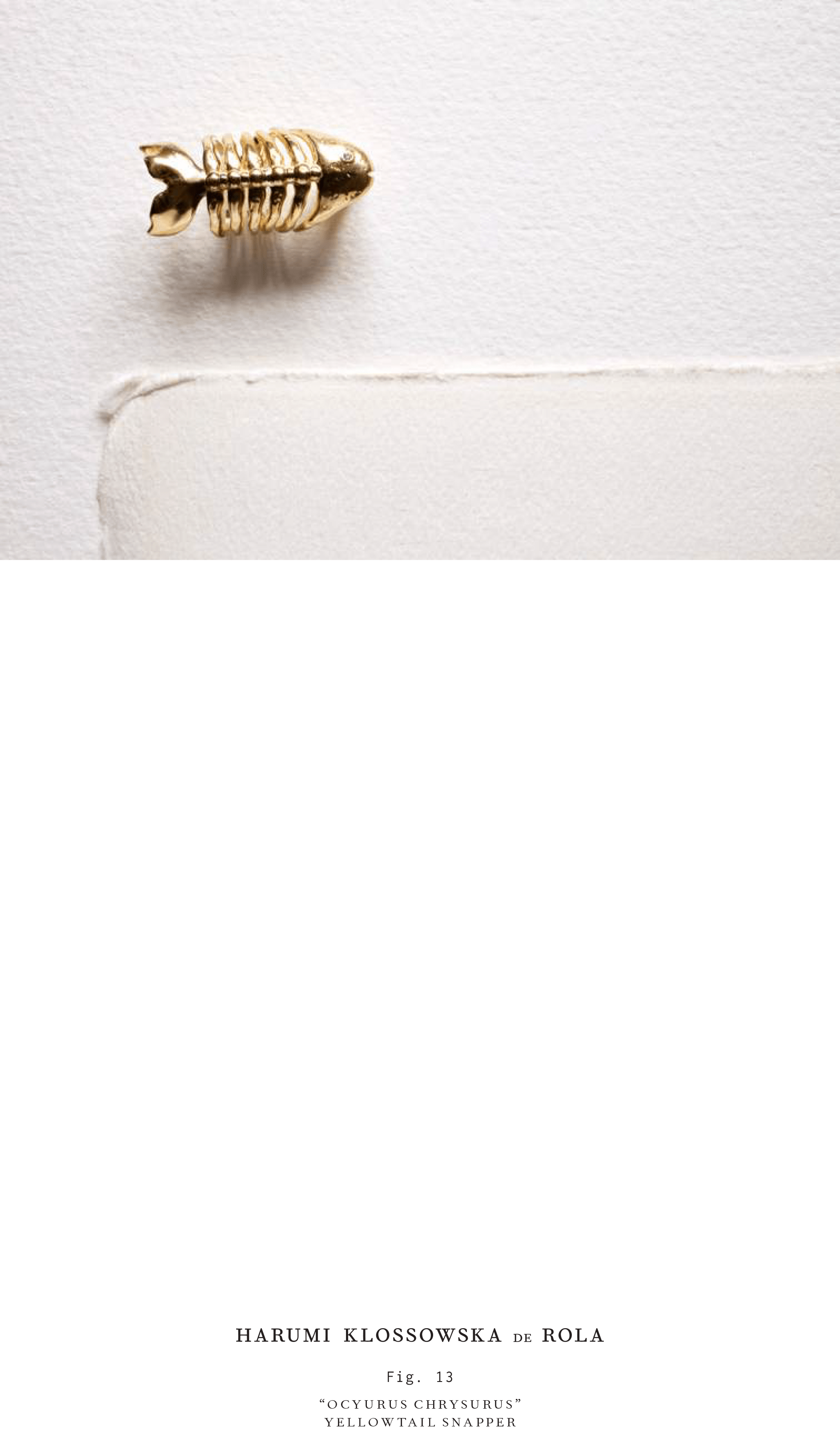 Harumi Klossowska de Rola_Look book_2016-14