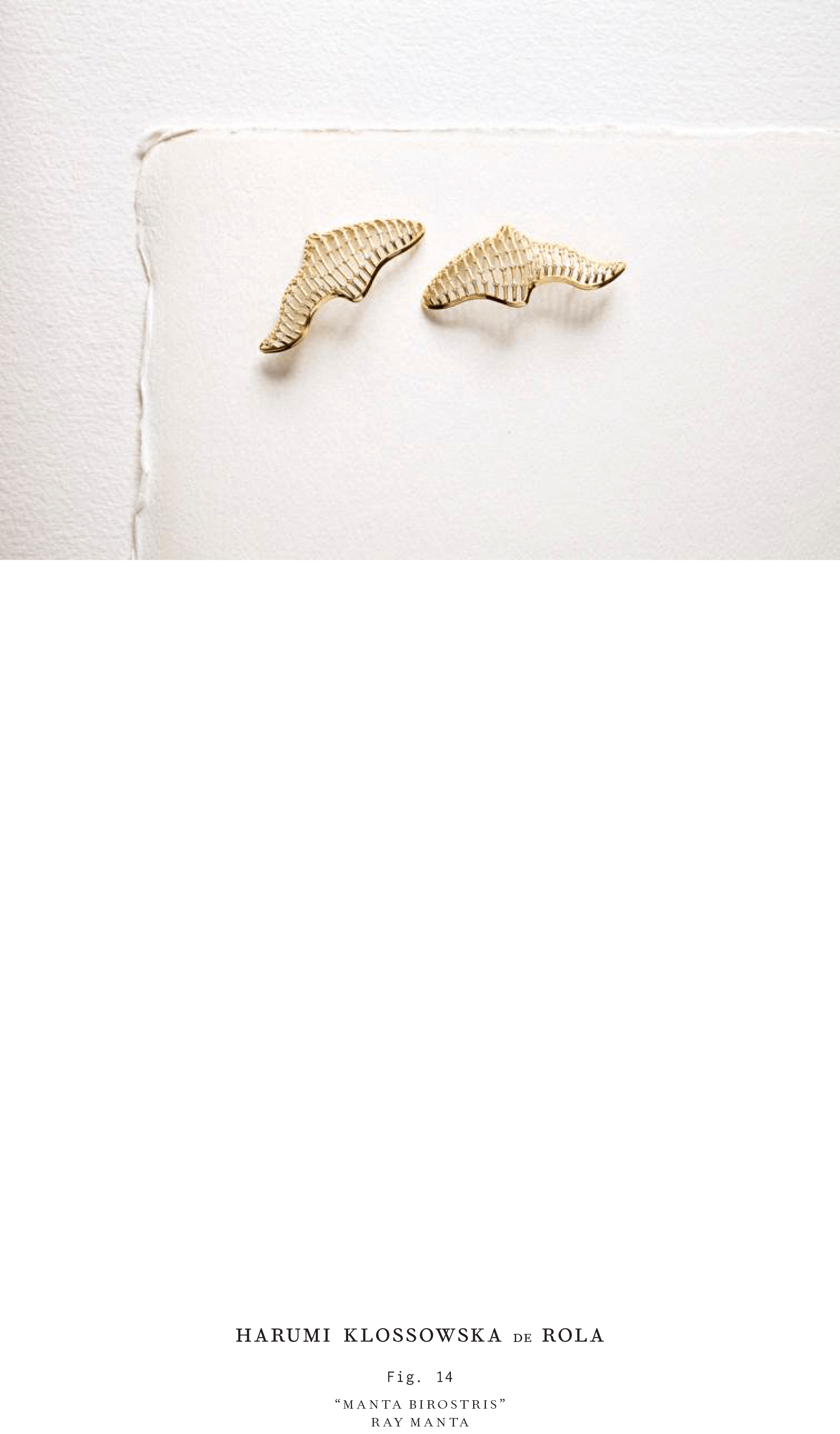 Harumi Klossowska de Rola_Look book_2016-15