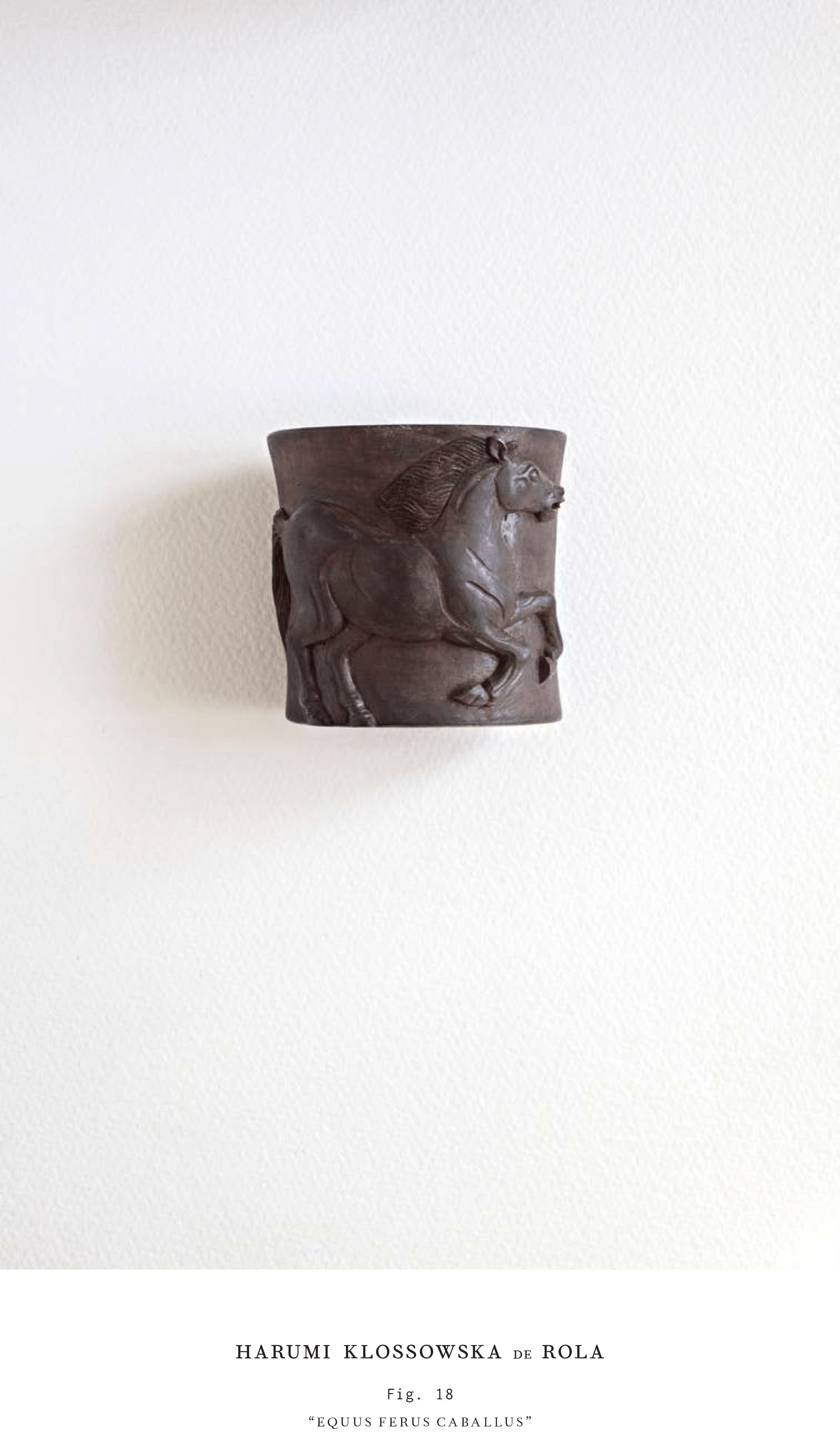 Harumi Klossowska de Rola_Look book_2016-19