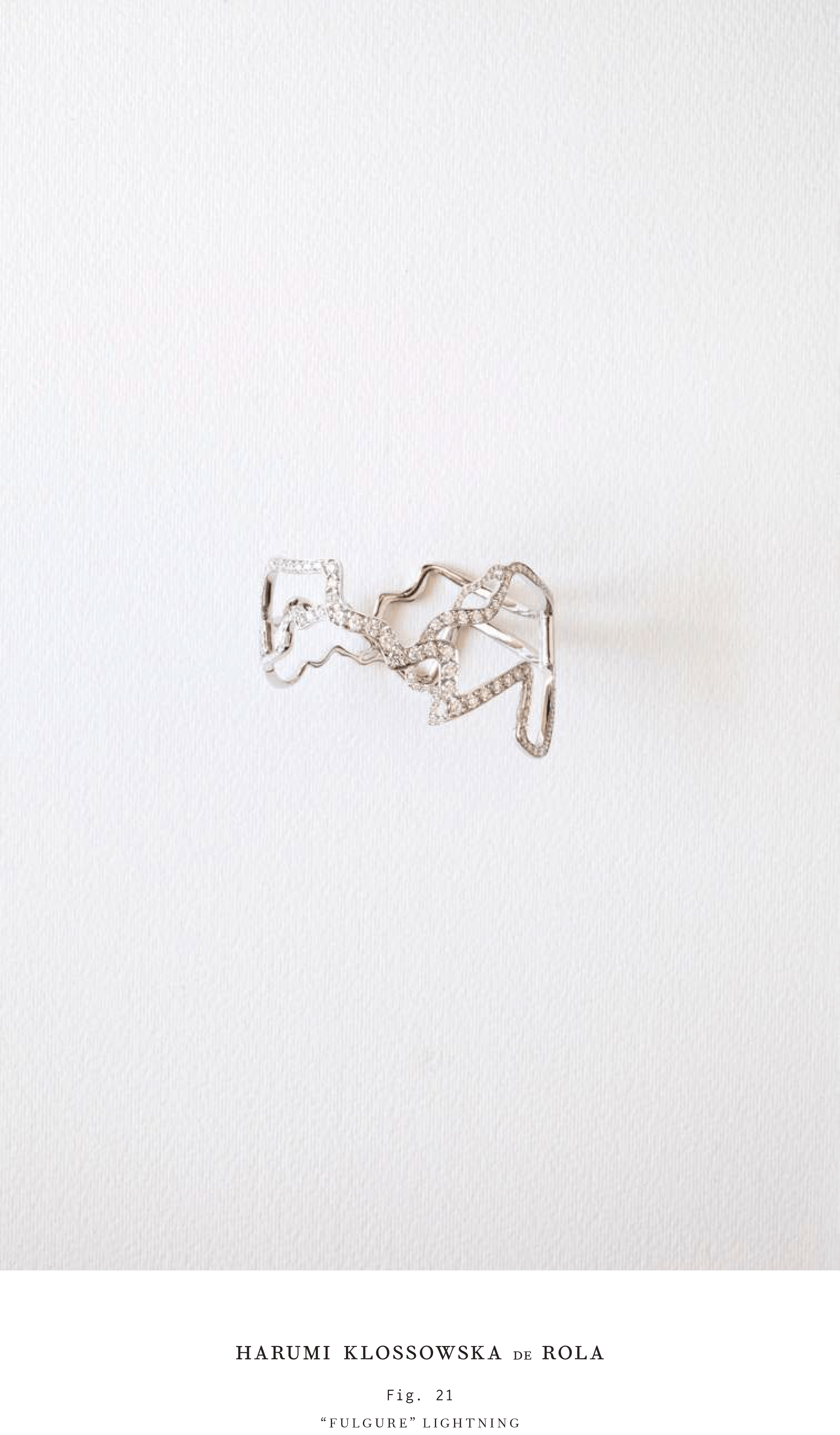 Harumi Klossowska de Rola_Look book_2016-22