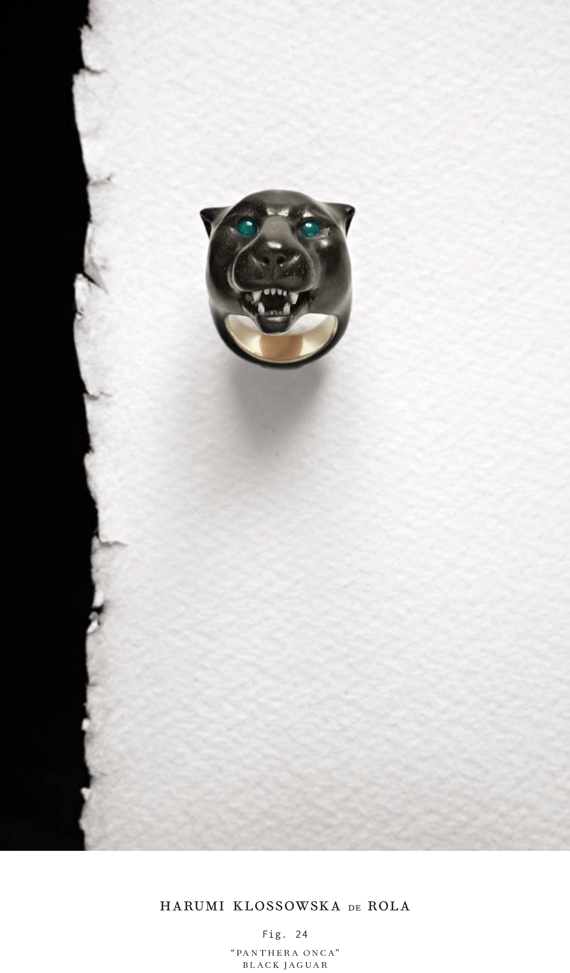 Harumi Klossowska de Rola_Look book_2016-25