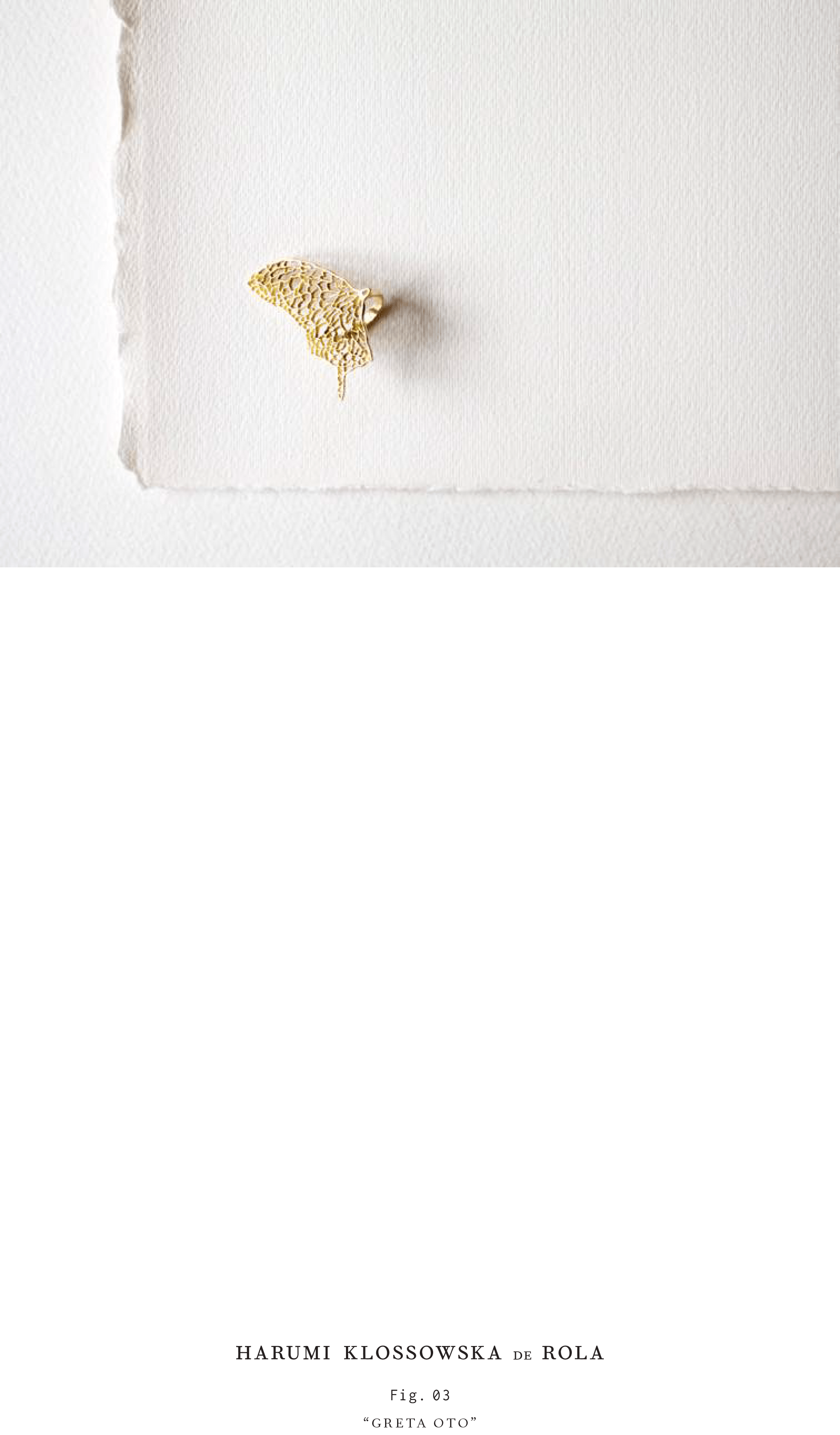 Harumi Klossowska de Rola_Look book_2016-4