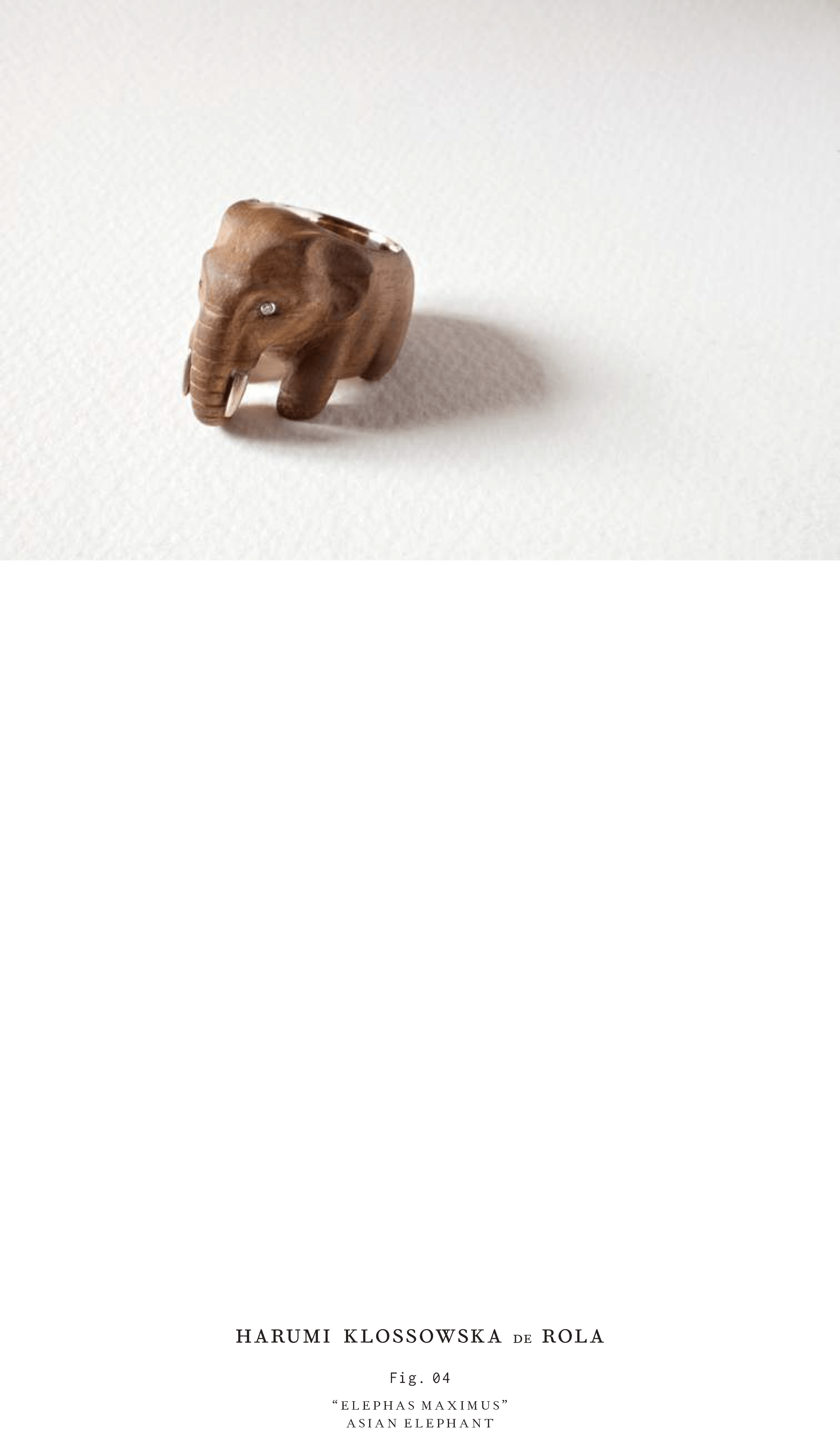 Harumi Klossowska de Rola_Look book_2016-5