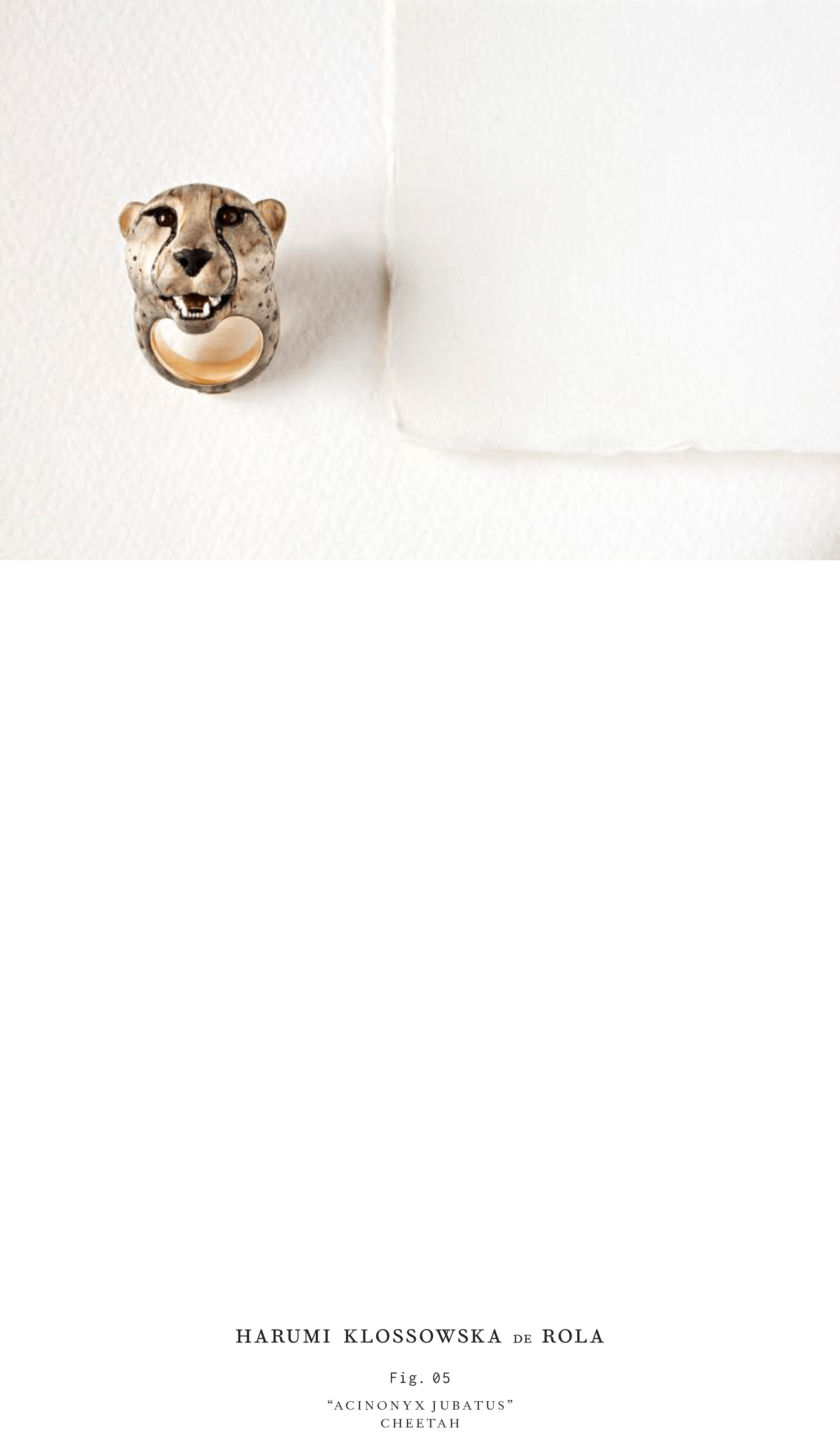 Harumi Klossowska de Rola_Look book_2016-6