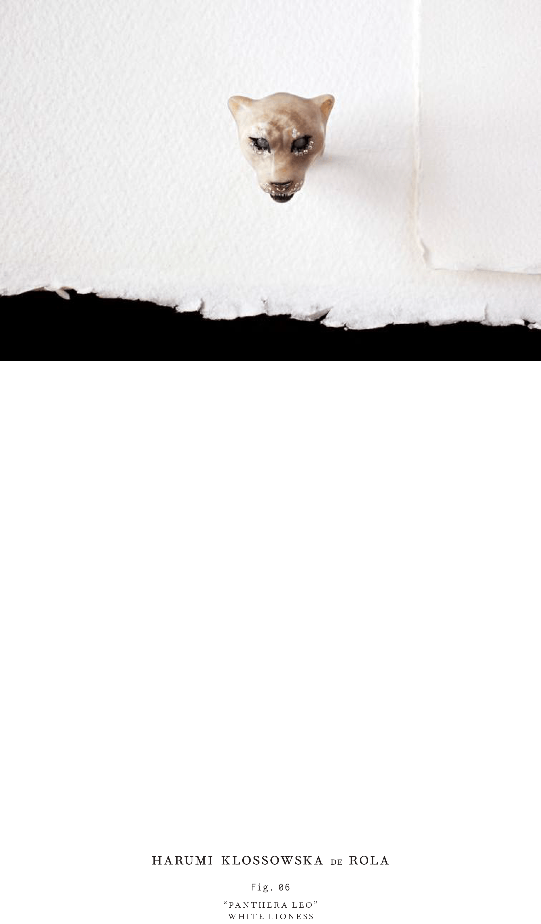 Harumi Klossowska de Rola_Look book_2016-7