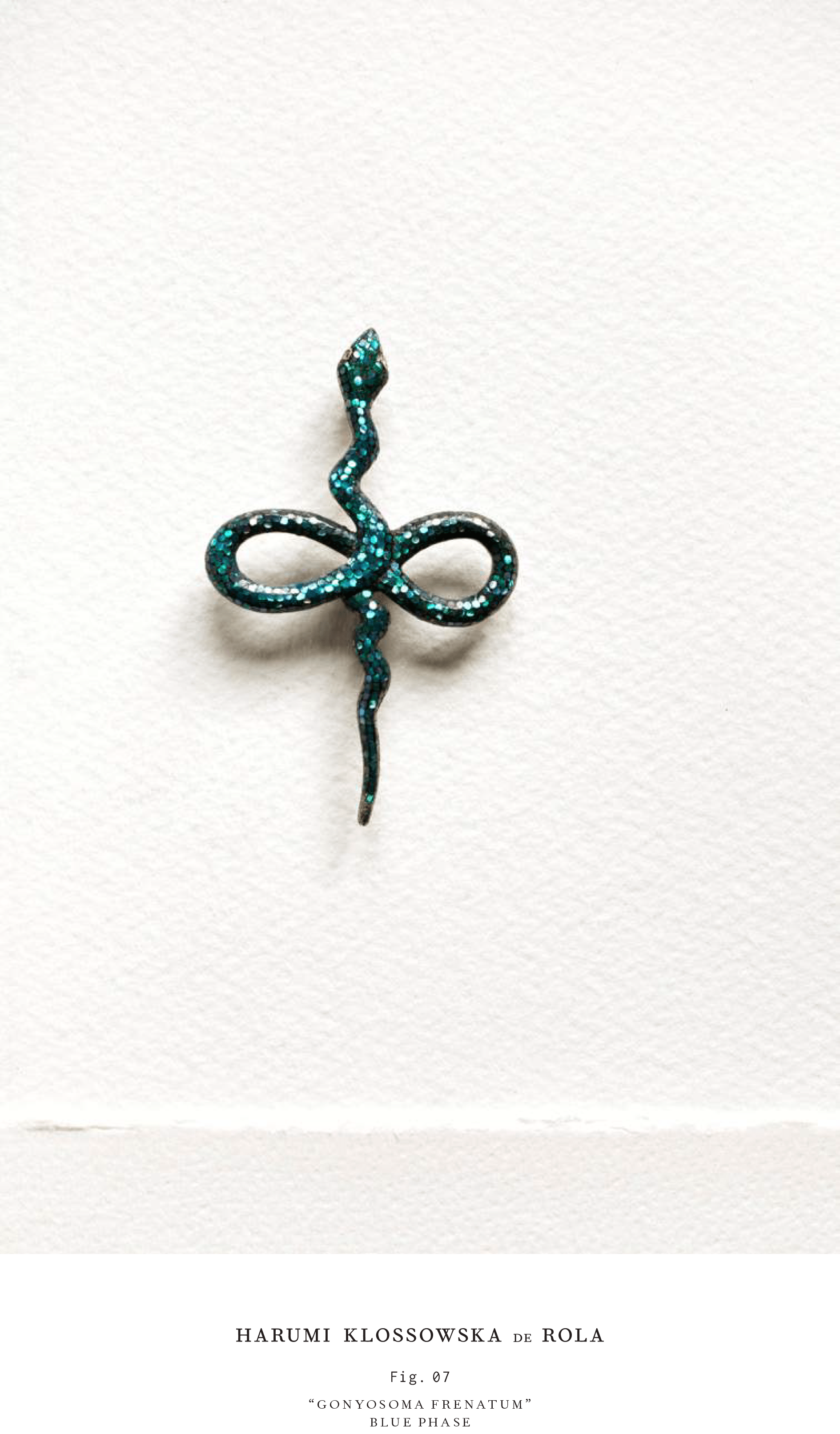 Harumi Klossowska de Rola_Look book_2016-8