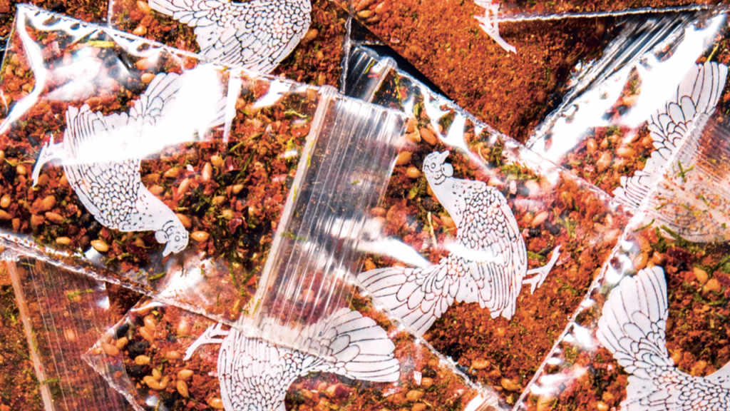 How To Cook Yakitori, A Traditional Japanese Meal That Pairs Chicken & Beer (Or&nbsp;Saki).