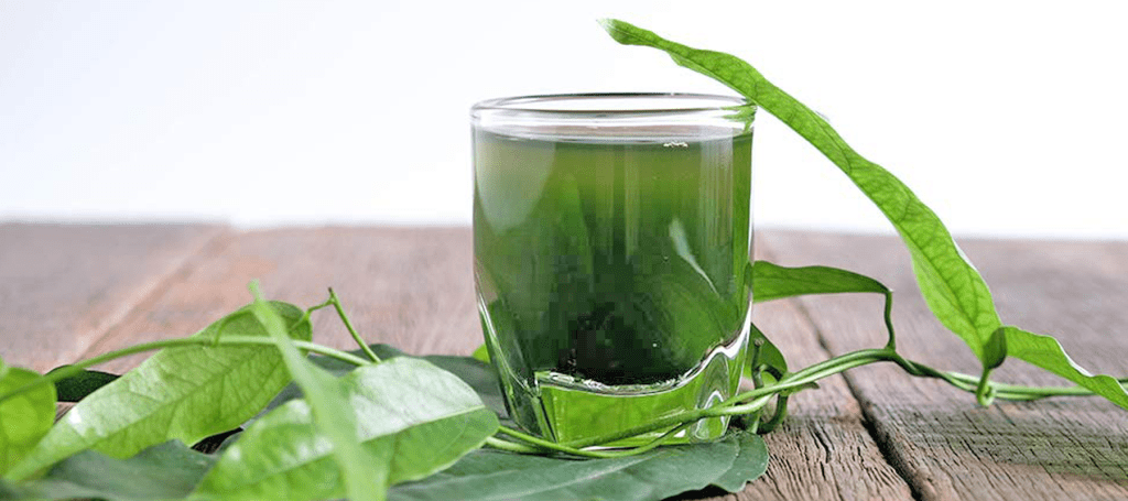 Health Trends: Chlorophyll&nbsp;Water.