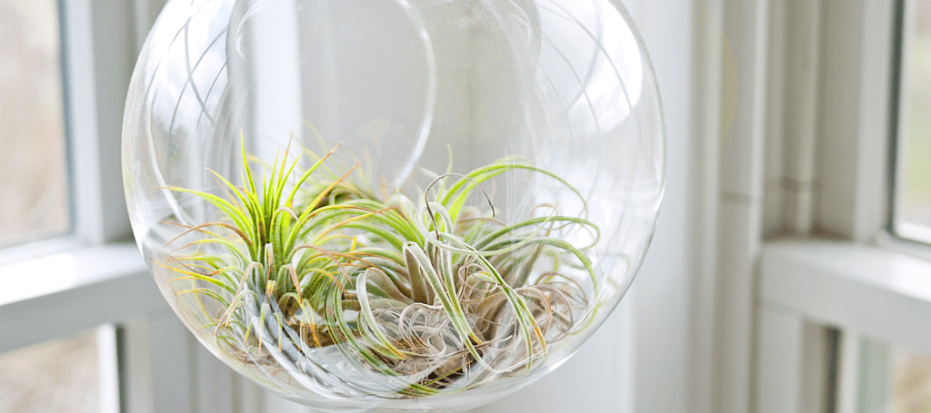 5 Minute Decorative Transformation&nbsp;Ideas.